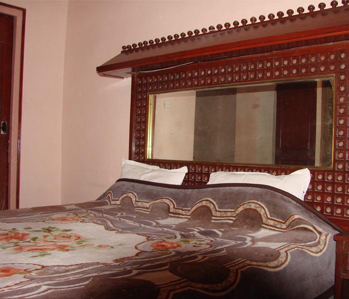 Hotel Krishna Palace New Delhi Room photo